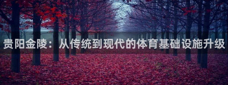 意昂4娱乐平台:贵阳金陵:从传统到现代的体育基础设施升级
